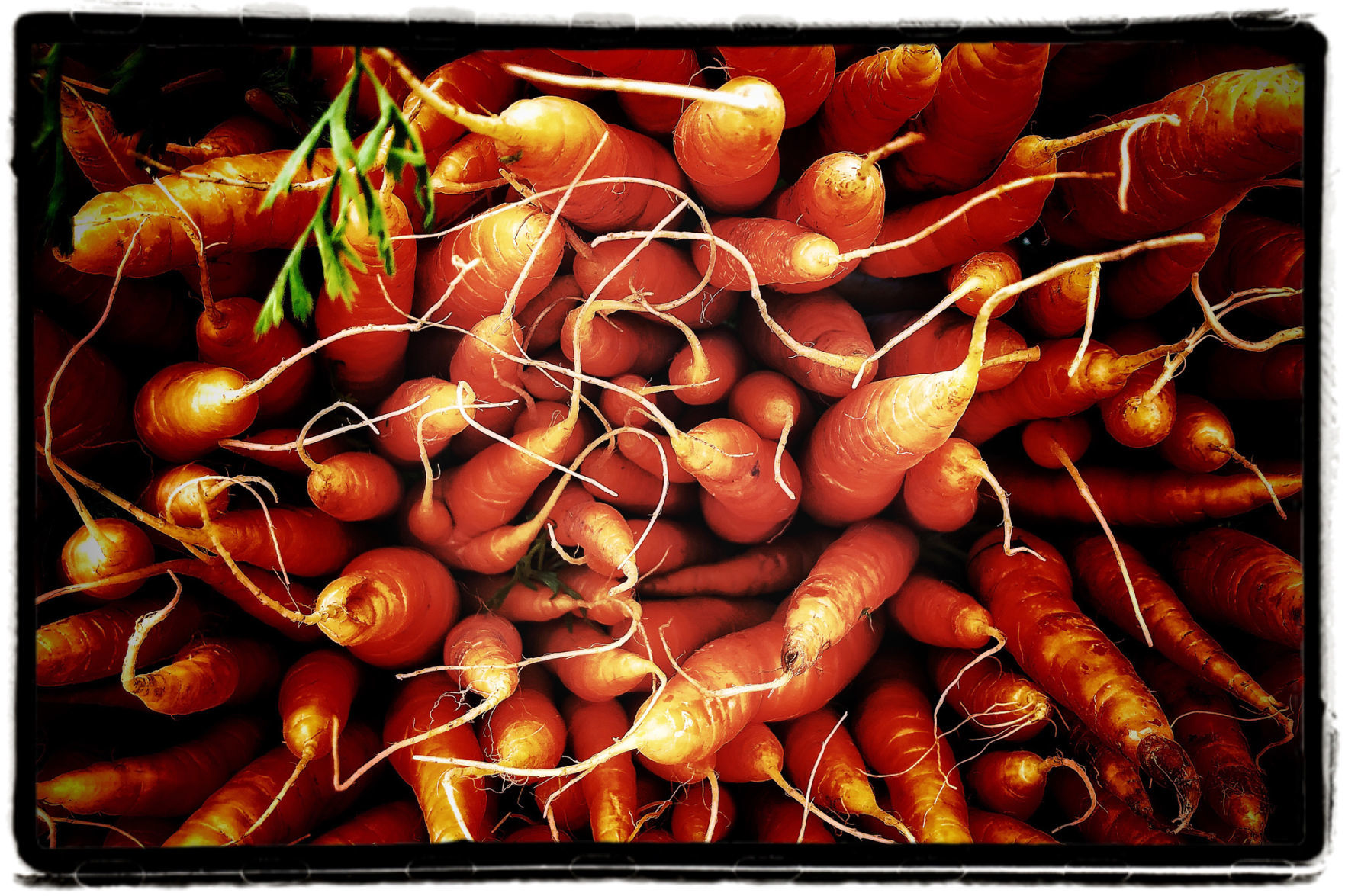Farmers Market Produce